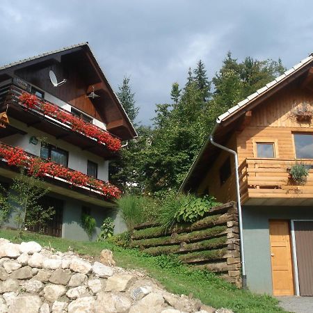 Apartma Podlogar Golica Triglav Jesenice Exterior foto
