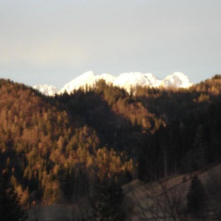 Apartma Podlogar Golica Triglav Jesenice Exterior foto