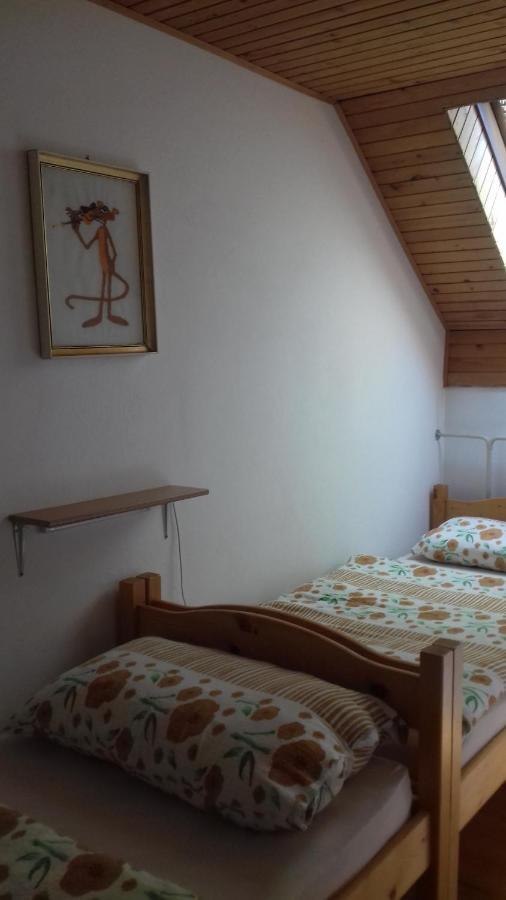 Apartma Podlogar Golica Triglav Jesenice Exterior foto